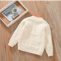 Full Sleeves Crewneck Cable Knit Design Textured Sweater From 3 - 8 Years