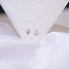 Rose Gold Combo Of Hoop & Stud Earrings