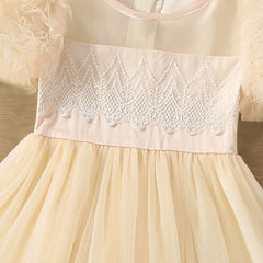 Peach Short Baloon Sleeves Smocked Ruched Fit & Flare Dress From 3-7 years